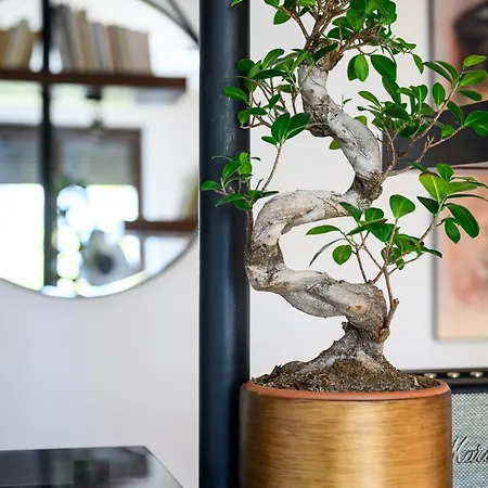 Cozy Flat In With Cinema Cluj-Napoca