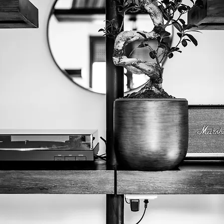 Apartment Cozy Flat In With Cinema Cluj-Napoca