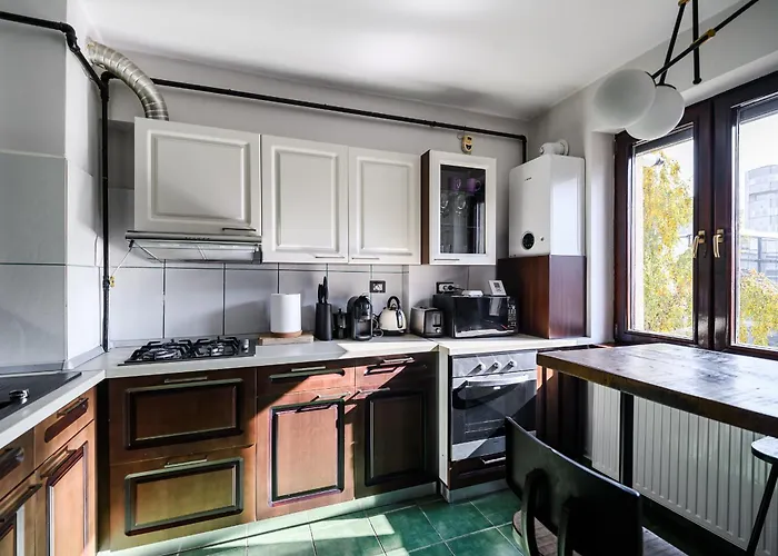 Cozy Flat In With Cinema Apartment Cluj-Napoca