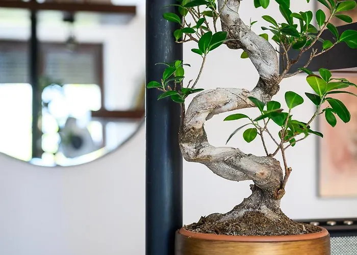 Cozy Flat In With Cinema Cluj-Napoca